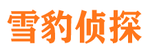 太原市侦探调查公司